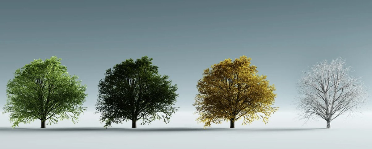 ¿Cuándo es el mejor momento del año para pintar la fachada de tu casa? 1 mejor momento del ano para pintar