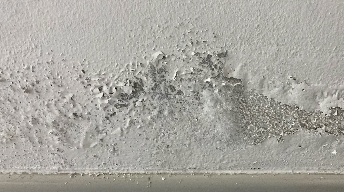 ¿Cómo proteger la pintura exterior de la humedad? 1 proteger pintura humedad